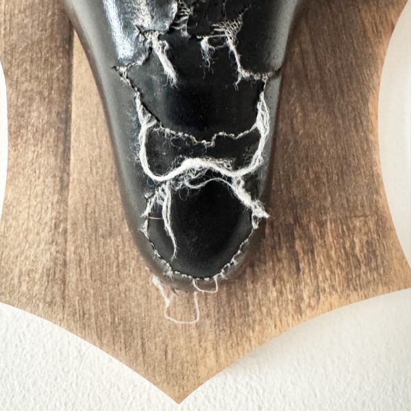 Fahrradgeweih Nr. 21 Detailansicht unten